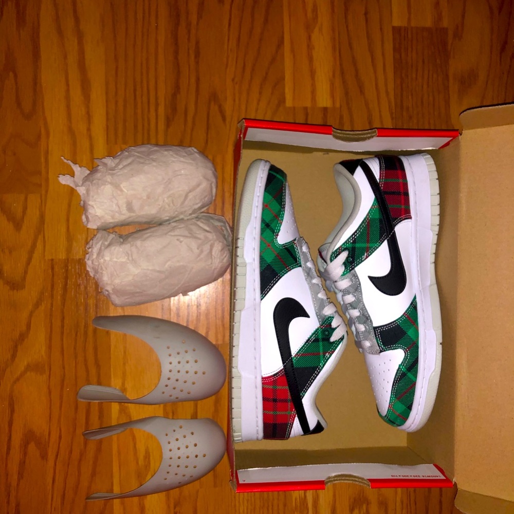 Nike dunks brand new
